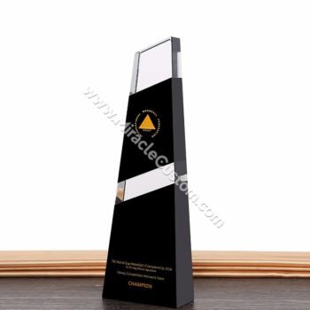 Black Finish Glass Awards eye of the crystal creative Glass Shield Stand-Up Award