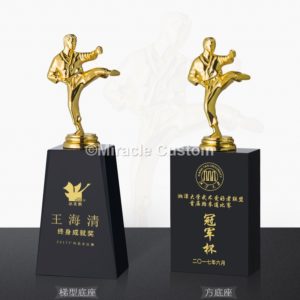 Custom Taekwondo Trophies