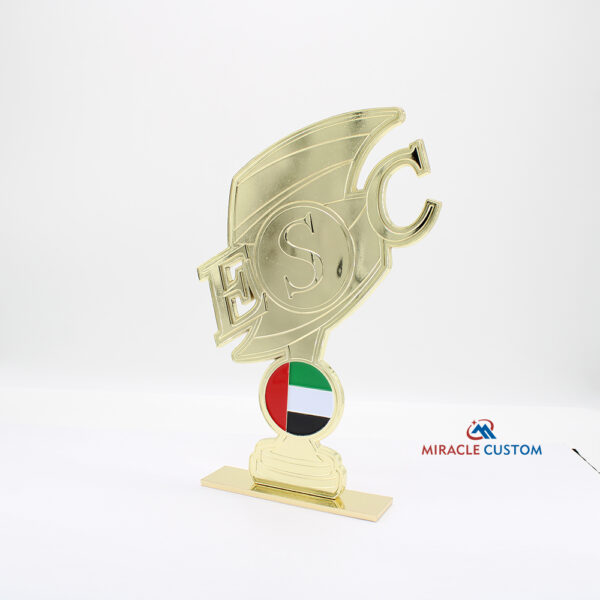 Custom Emirates Swimming Cup Metal Trophies