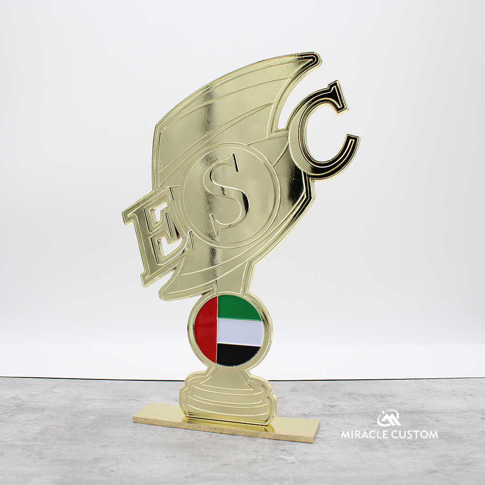 Custom Emirates Swimming Cup Metal Trophies