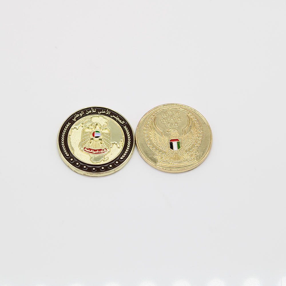 Custom Falcon Coins UAE Coins